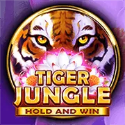 Giao diện tổng quan các tính năng trò chơi nổ hũ jackpot tại hb888 nổ hũ