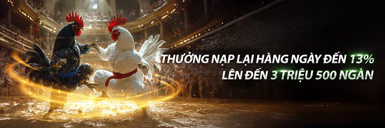 Cá cược trực tiếp tại hb888 nổ hũ
